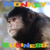 Monkey Business Podcast artwork