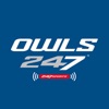 Owls247 artwork