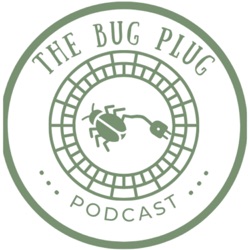The Handsome Fungus & Carrot Beetles Episode
