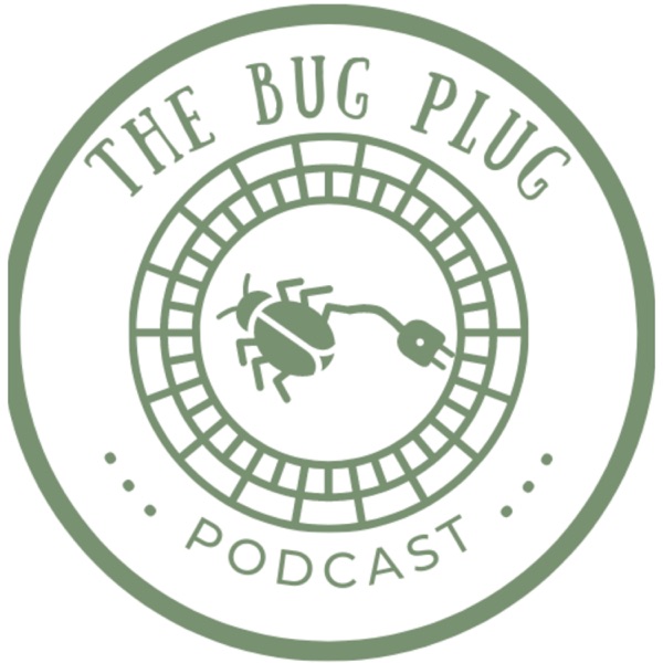 The Bug Plug Artwork