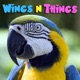 WingsNThings - Birds & Parrots as Pets - All About Pet Birds - Pets & Animals on Pet Life Radio (PetLifeRadio.com)