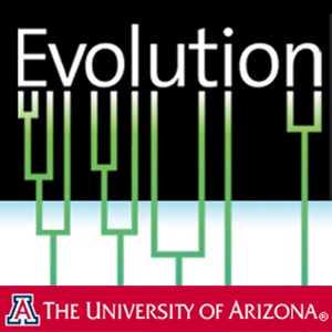 Evolution