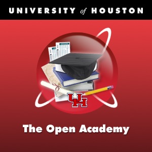 The Open Academy: Honors Faculty in Conversation cover