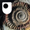 Fossil Detectives - for iPod/iPhone artwork