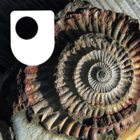 Fossil Detectives - for iPod/iPhone podcast
