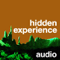 hidden experience audio