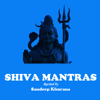 Om Nama Shivaya - Shiva Mantra Chants recited by Sandeep Khurana - Sandeep Khurana