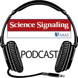 Science Signaling Podcast for 15 November 2016: A new type of kinase inhibitor