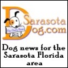 Sarasota Dog artwork