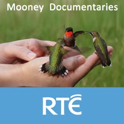 RTÉ - Mooney Documentaries