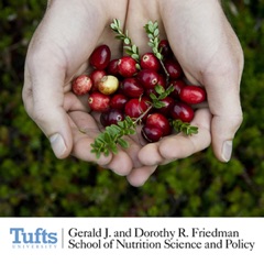 Friedman Seminar Series