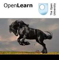 Studying mammals: a winning design - for iBooks podcast