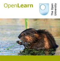 Studying mammals: chisellers - for iBooks podcast