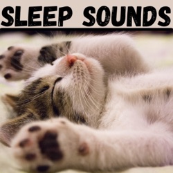 Sleep Sounds for Deep Relaxation