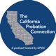 The California Probation Connection