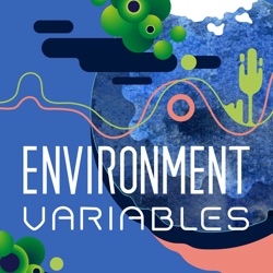 The Week in Green Software: Embodied Carbon