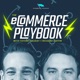Ecommerce Playbook: Numbers, Struggles & Growth