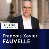 Histoire et archéologie des mondes africains - François-Xavier Fauvelle - Collège de France