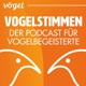 Vogelstimmen