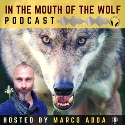 In The Mouth Of The Wolf PODCAST