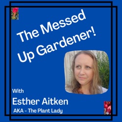 Ep 85: 4 Low Maintenance Gardening Methods I use personally with Fantastic Results.