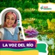 La voz del río