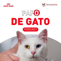 Papo de Gato