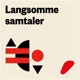 Langsomme samtaler