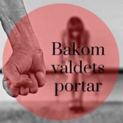 Fjortonåringen och våldtäktsmannen