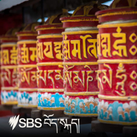 SBS Tibetan - SBS བོད་སྐད་སྡེ་ཚན། podcast