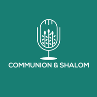 #30 - Imagining the Commons with Brendan Johnson