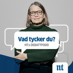 6. Att leva med en synnedsättning – Johan Pettersson, Synskadades riksförbund.