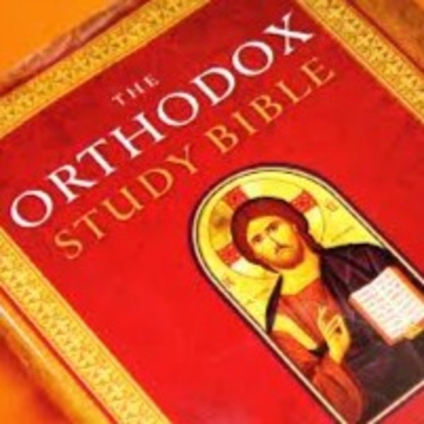Daily Orthodox Christian Bible Reading