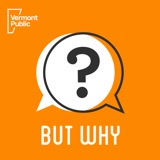 Image of But Why: A Podcast for Curious Kids podcast