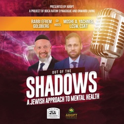 Bonus Episode: Facing the Tragic Death of a Child in our Community, A Conversation with Rabbi Dr. Dovid Fox