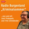 Radio Burgenland Extra - Kunst & Kultur
