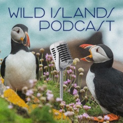 Wild Islands Podcast ― ✦ Oceans, Wildlife &amp; Conservation