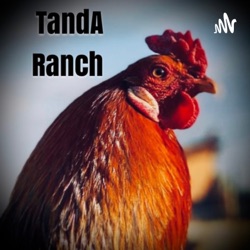 Another Offgrid Podcast with TandA Ranch