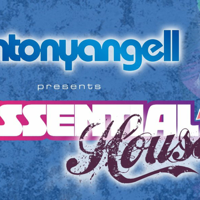 Essential House 314 (Joey Negro)