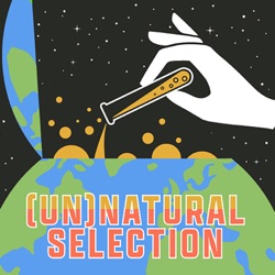 [Un]Natural Selection Ep. 1: A  Necessary Weevil?