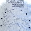 The Progressive Warrior  artwork