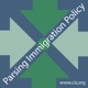 New State Immigration Laws