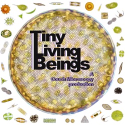 Tiny Living Beings: Trailer