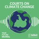 Courts on Climate Change