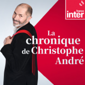 La chronique de Christophe André - France Inter