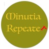 Minutia Repeater artwork