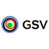 GSV Ventures artwork