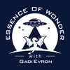 Essence of Wonder With Gadi Evron artwork