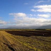 Countryside podcast