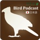 NFA Bird Podcast 日本語版